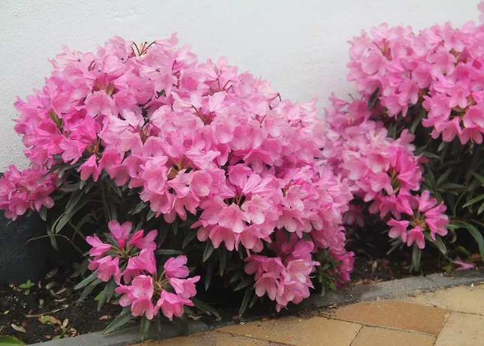 Odense City B&B Bed & Breakfast